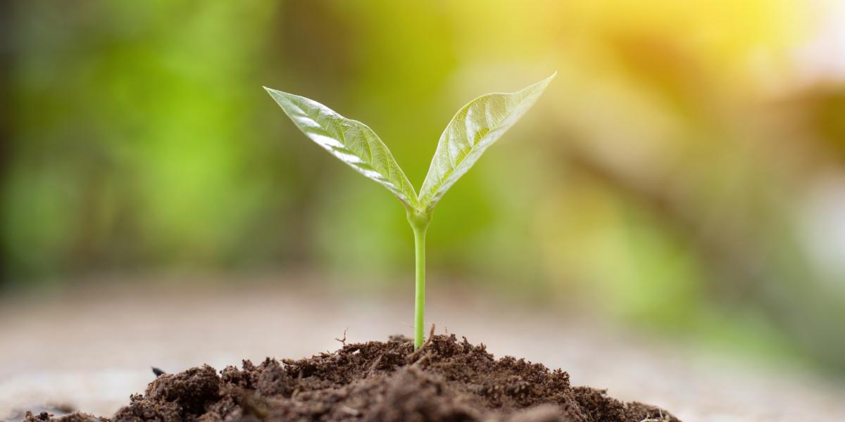 An Austrian contribution to the praxeology of nature conservation